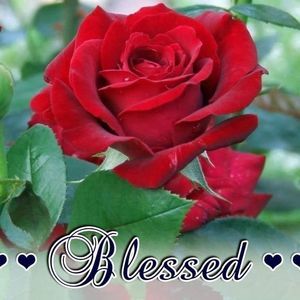 Meet your Posher, Guadalupe